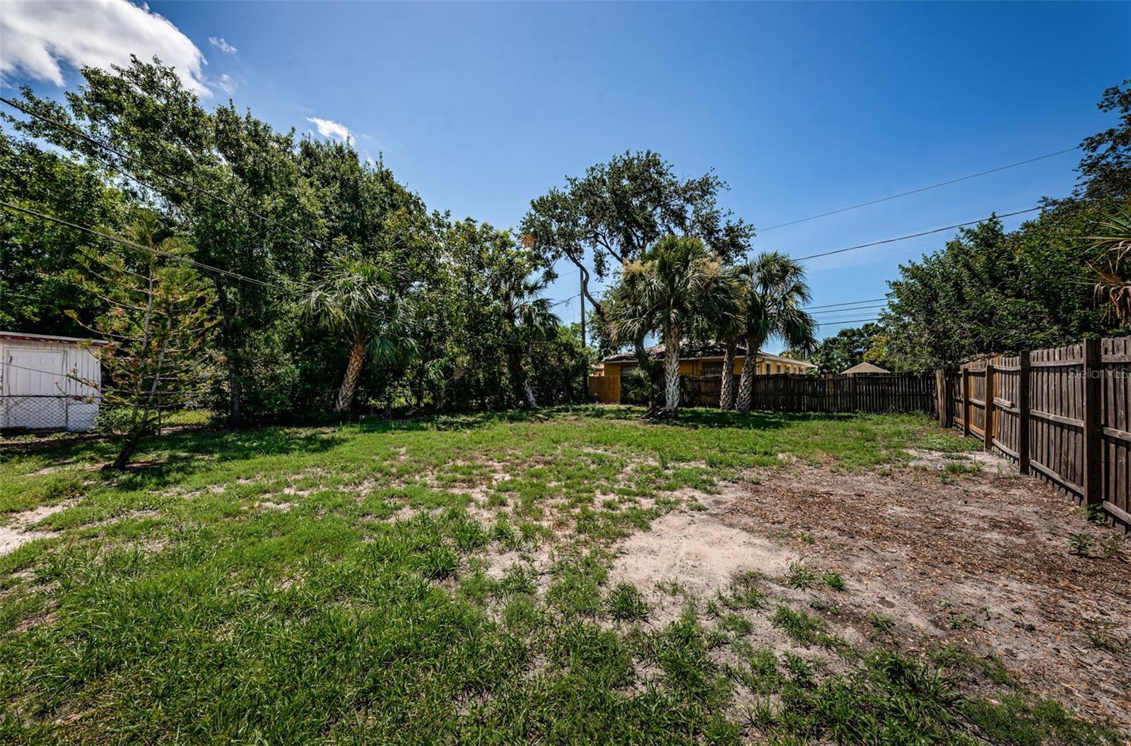 backyard