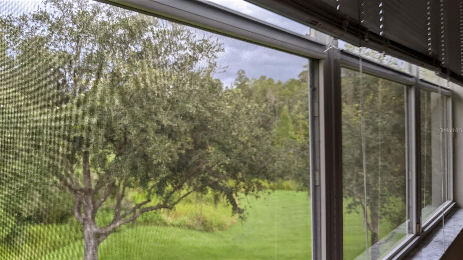 view from master bedroom