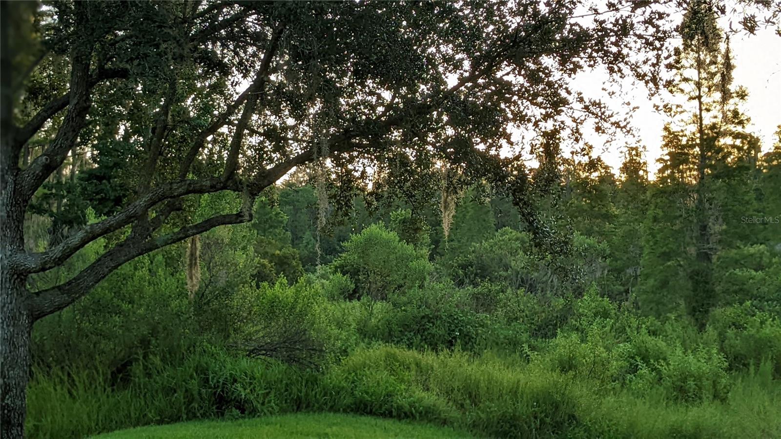 view from lanai