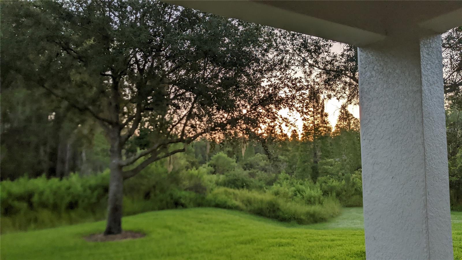 view from lanai