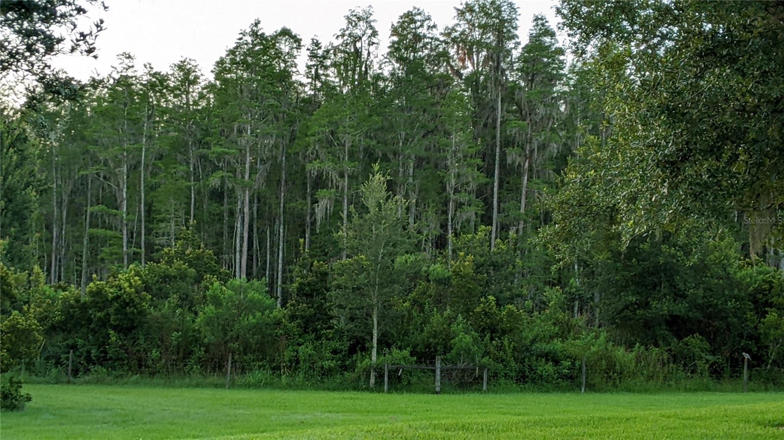 conservation view