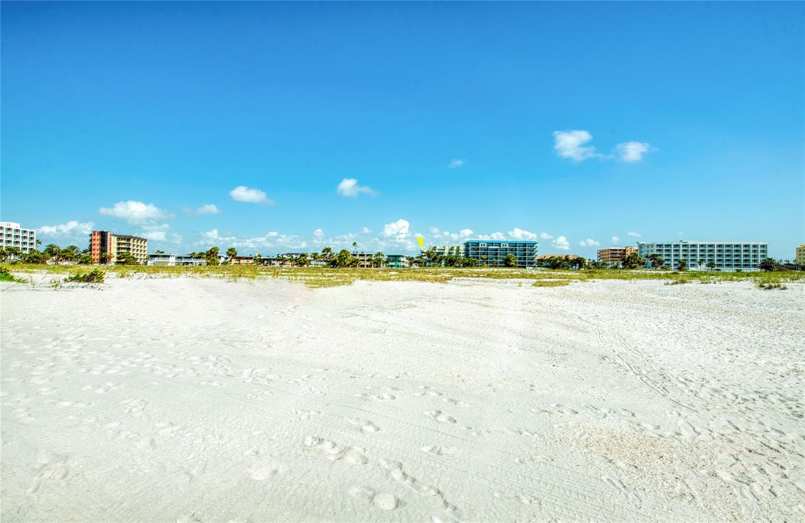 Honestly, we have to thank the volunteers of Treasure Island Adopt a Beach, they come out so often and volunteer to clean and pick up little things on the beach so it can stay this pristine and beautiful for all of us