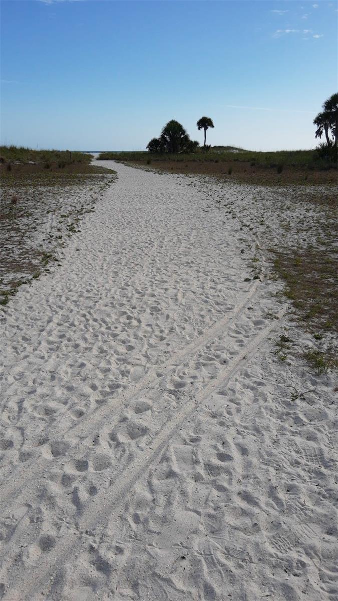 Nothing like starting your walk from Tropic Terrace, it's like therapy walking down to the water.