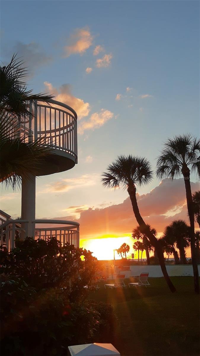 Look at those rounded stairwells, with the backdrop of the palms.