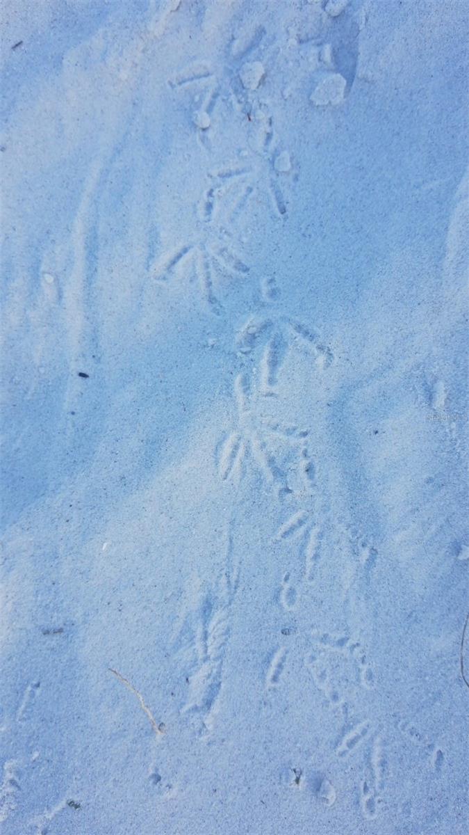 Toes in the sand!