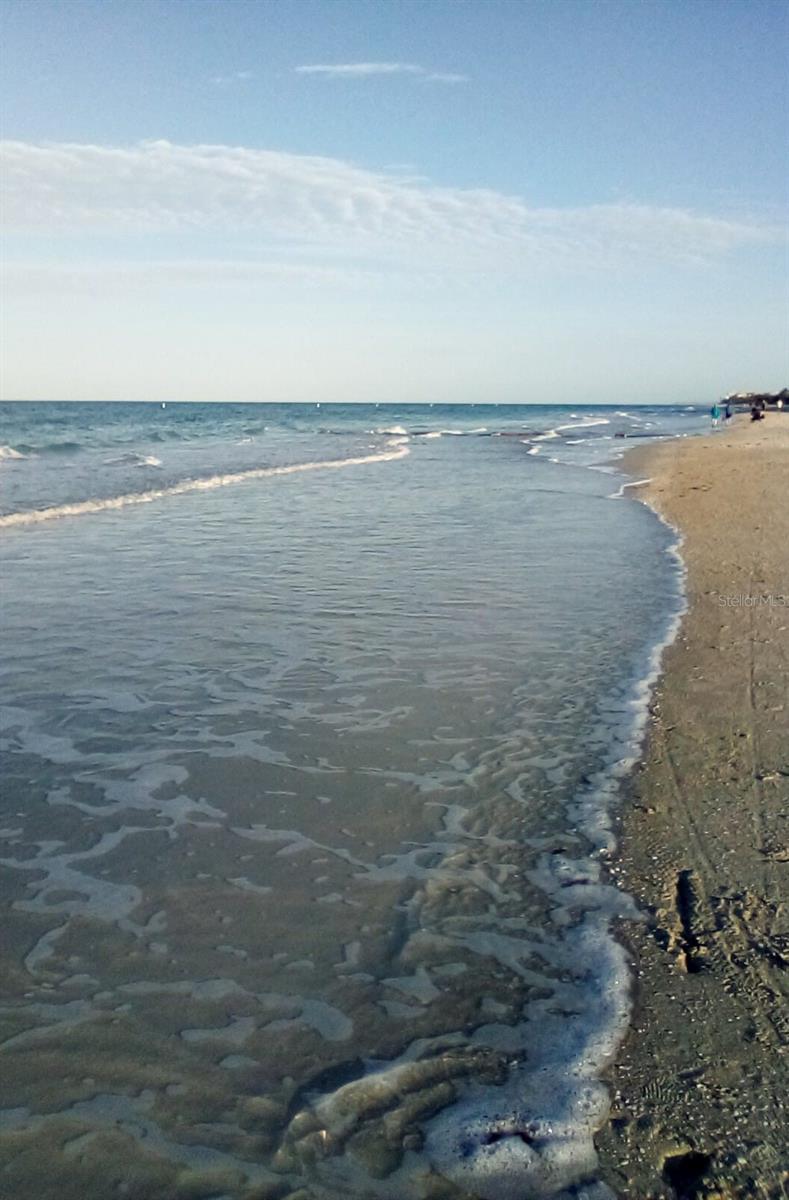 Find those special seashells