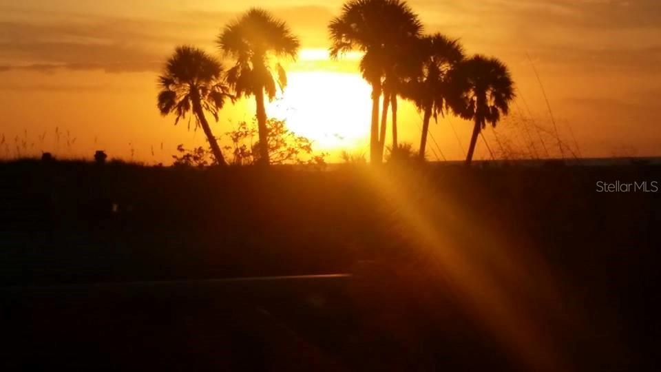 Night time is oh so special out in the back by our beautiful back lawn area, the palm trees, the trail, the bqq, the new shuffle board court being finished soon.