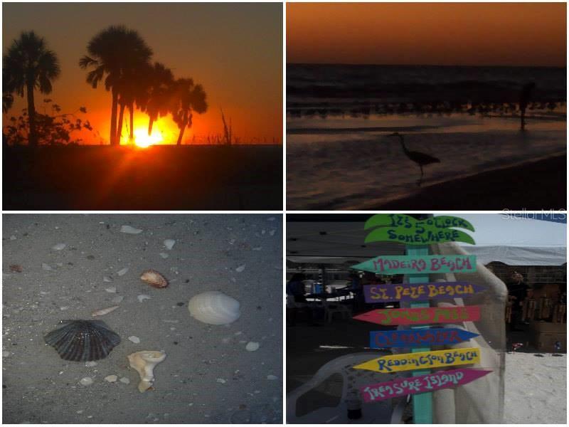 Like our beach collage we made?