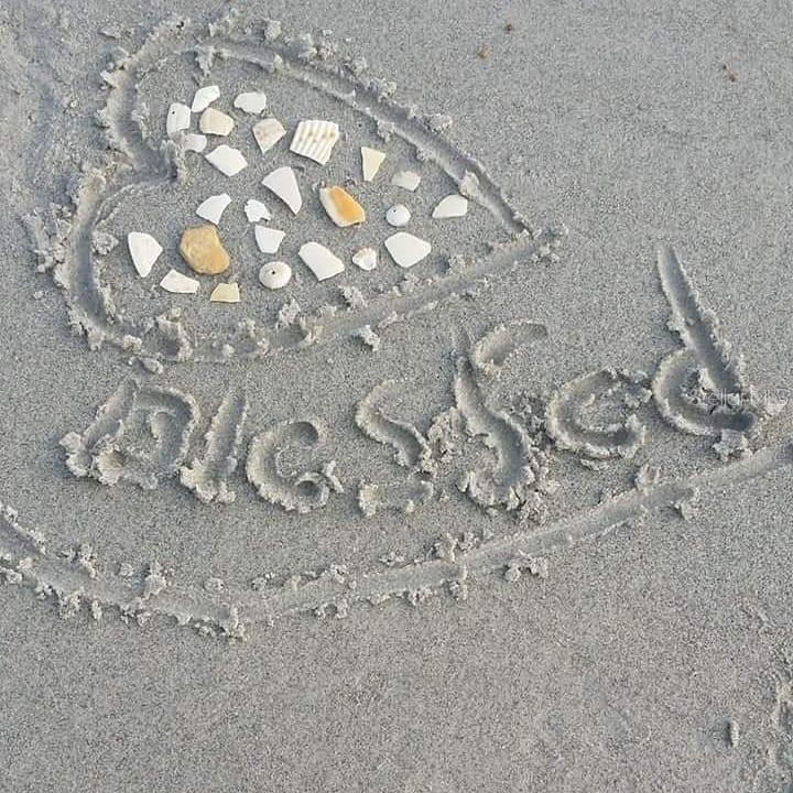 Yes, you will feel so blessed walking on Treasure Island, my daughter made this on the beach.