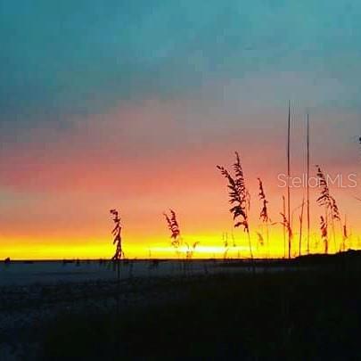 Loved taking this photo of the sea oats