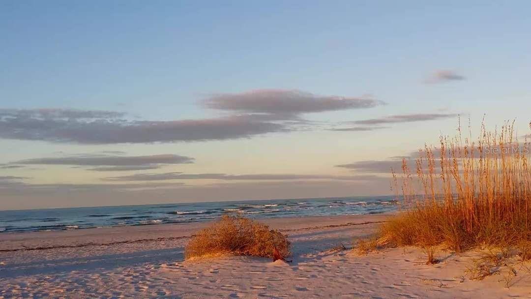 It's that time for a sunset walk....then.....