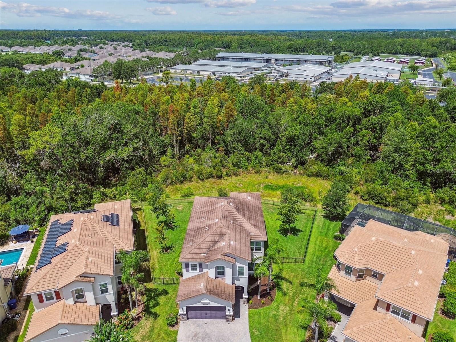 MASSIVE BACKYARD