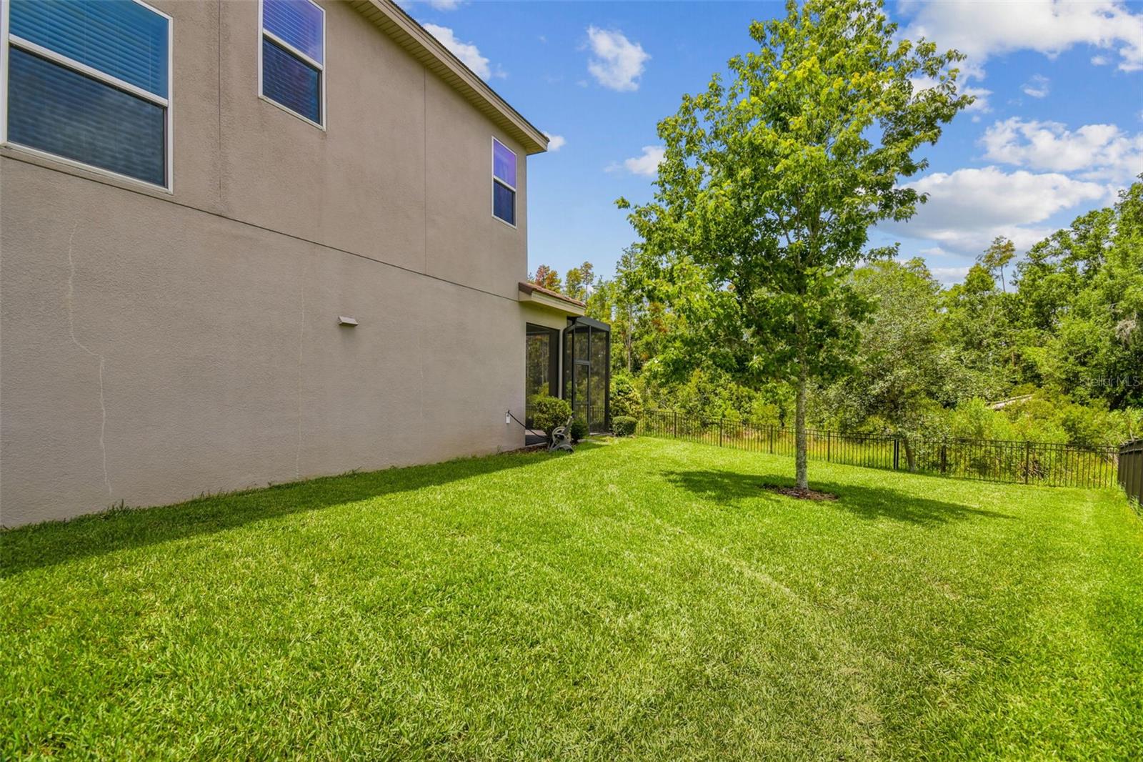 HUGE SIDE YARD FENCED