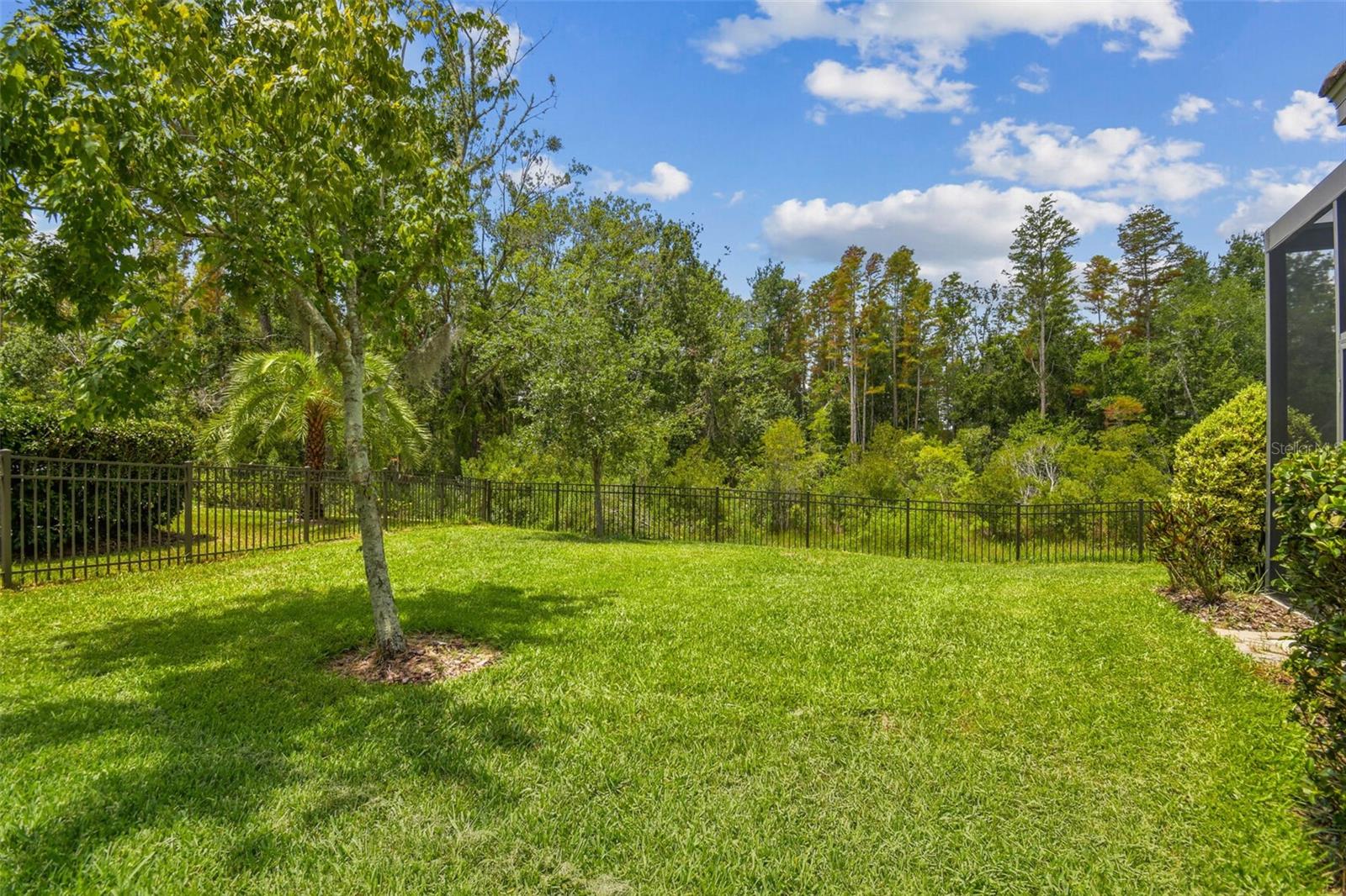 HUGE SIDE YARD