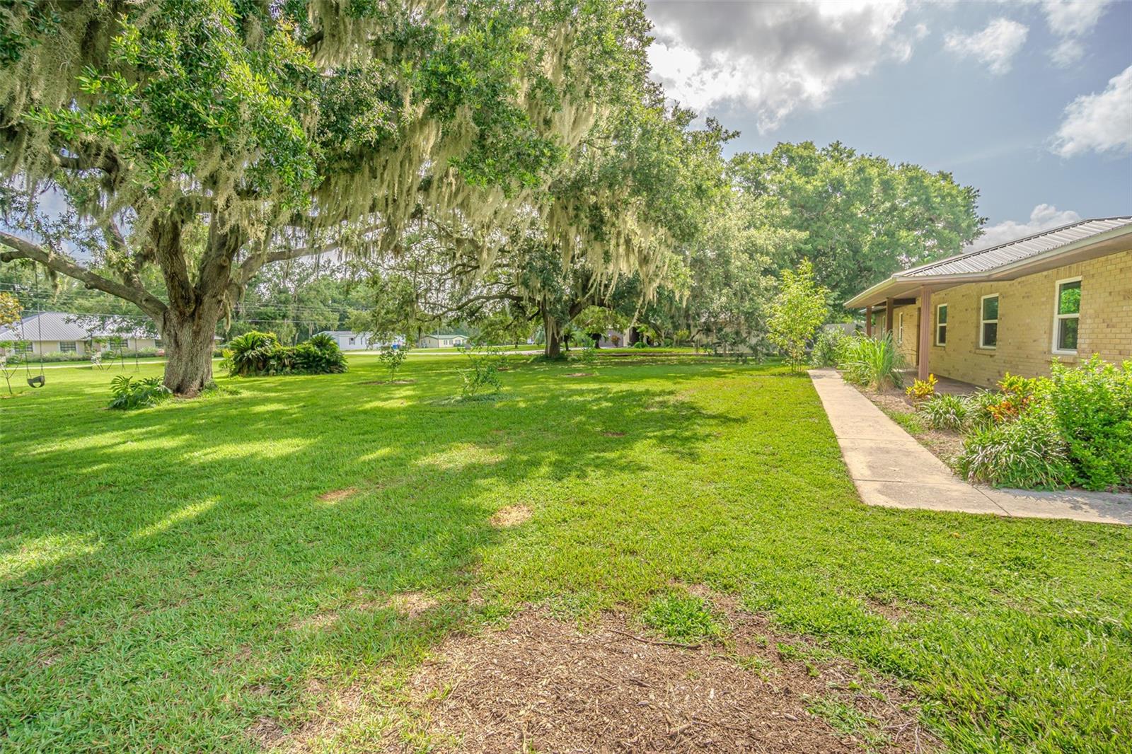 yard in front of house