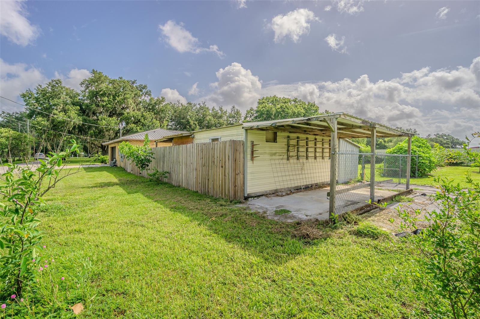 back of shed