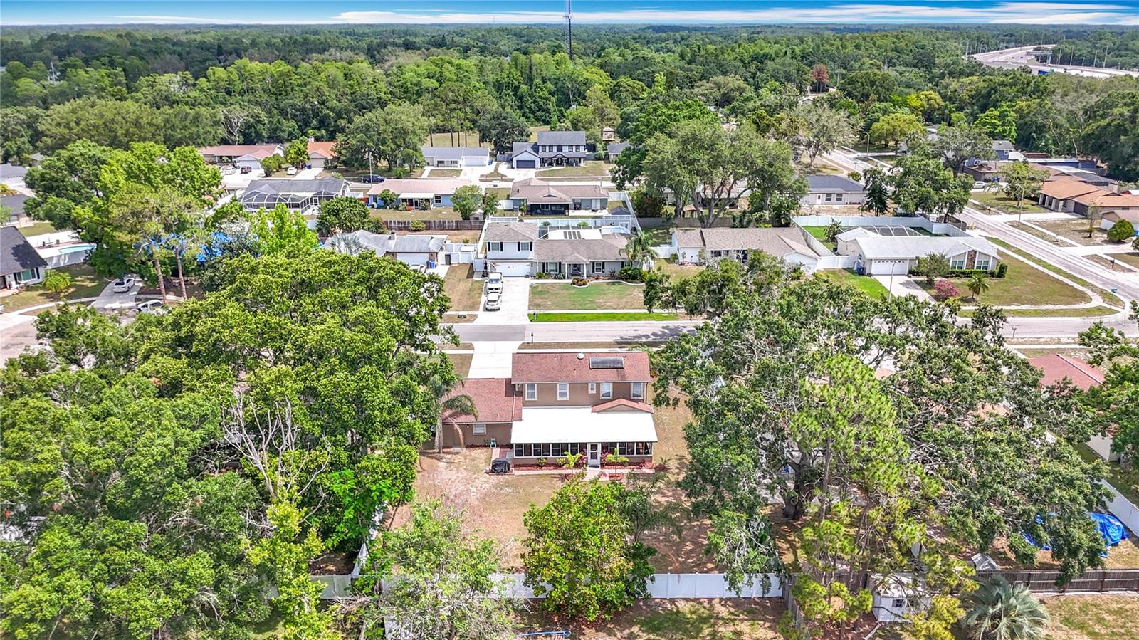 Quiet Citrus Park neigborhood with no HOA