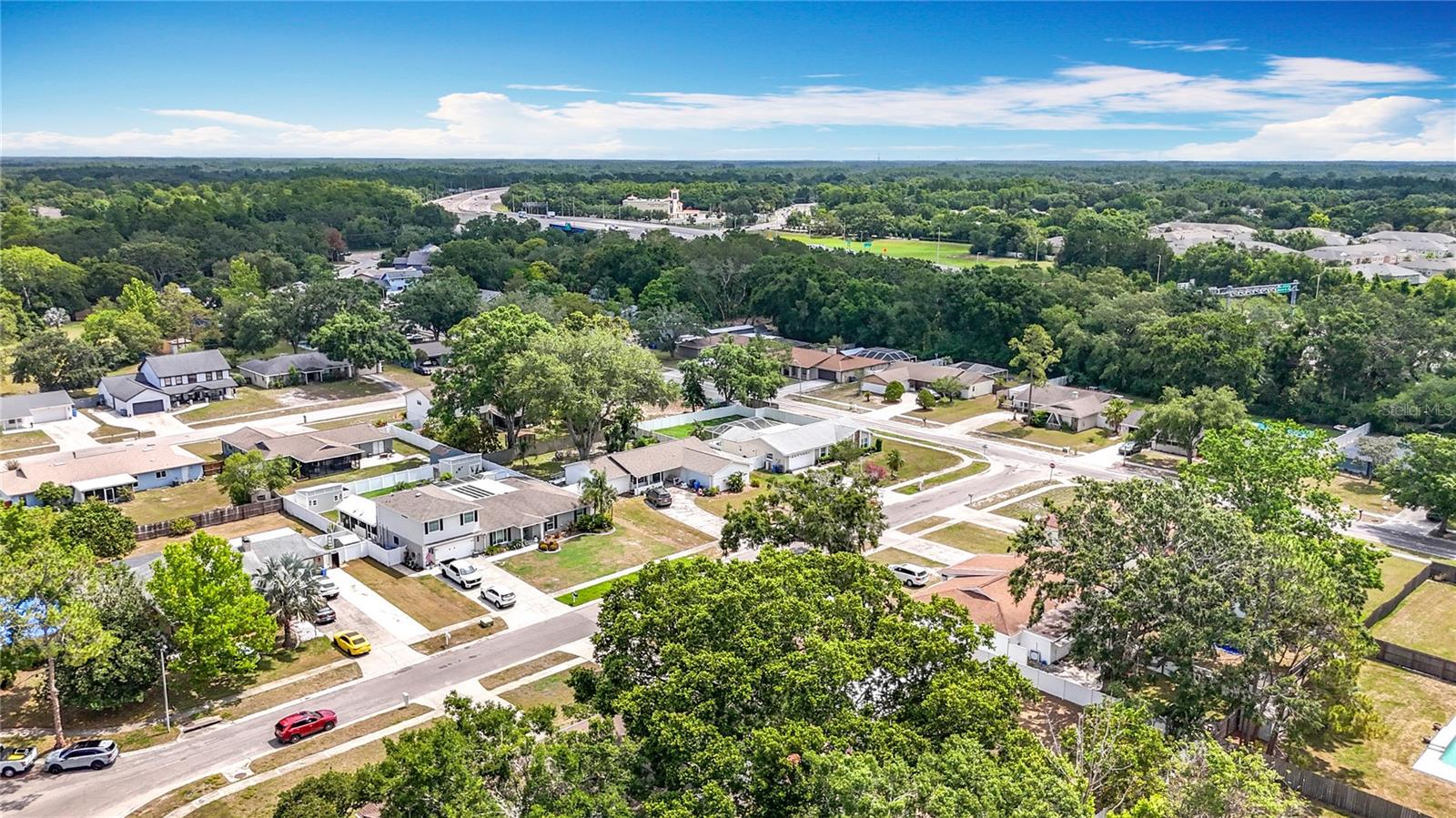Quiet Citrus Park neigborhood with no HOA