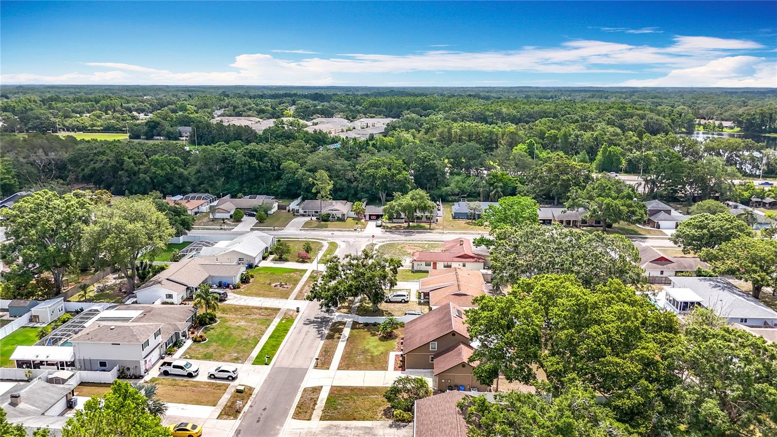 Quiet Citrus Park neigborhood with no HOA