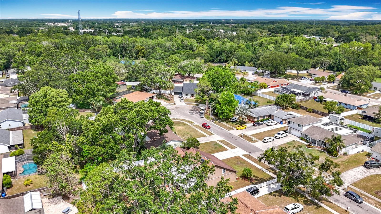 Quiet Citrus Park neigborhood with no HOA