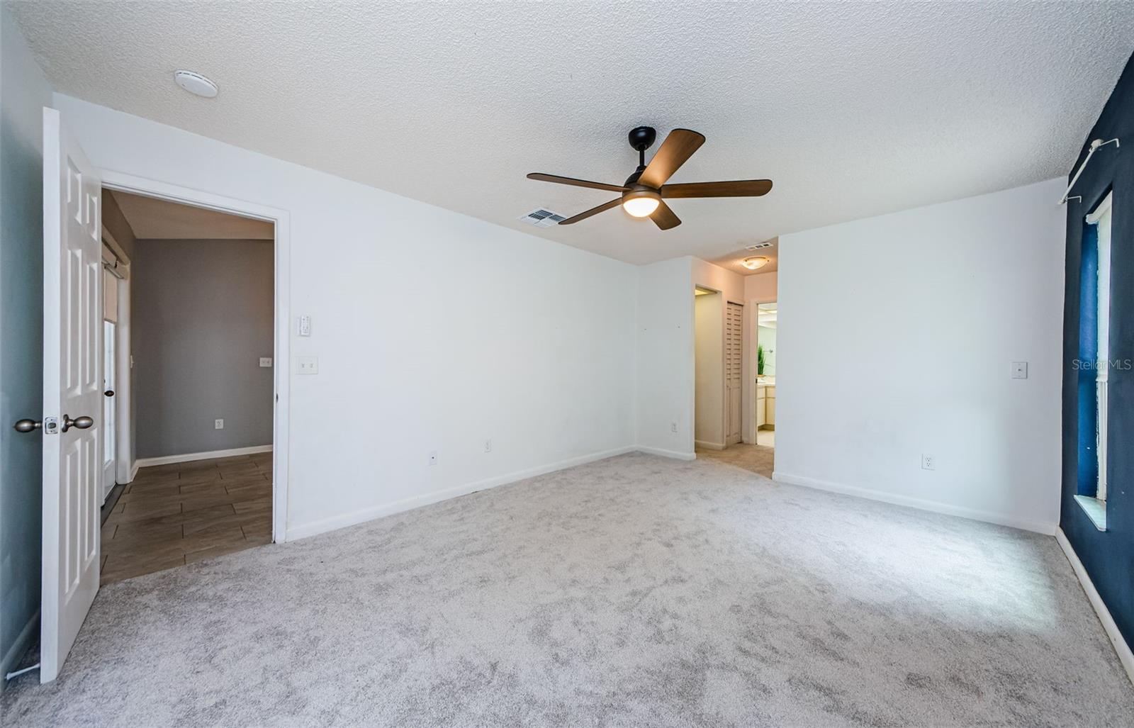 New Carpet
