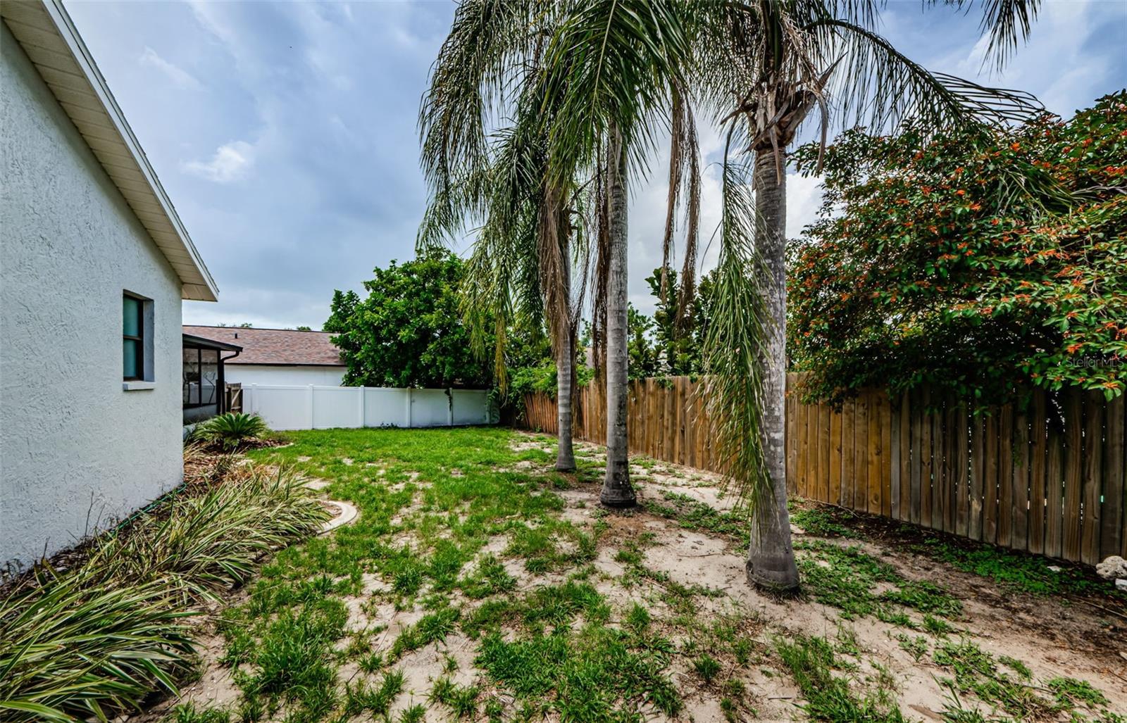 Side Yard