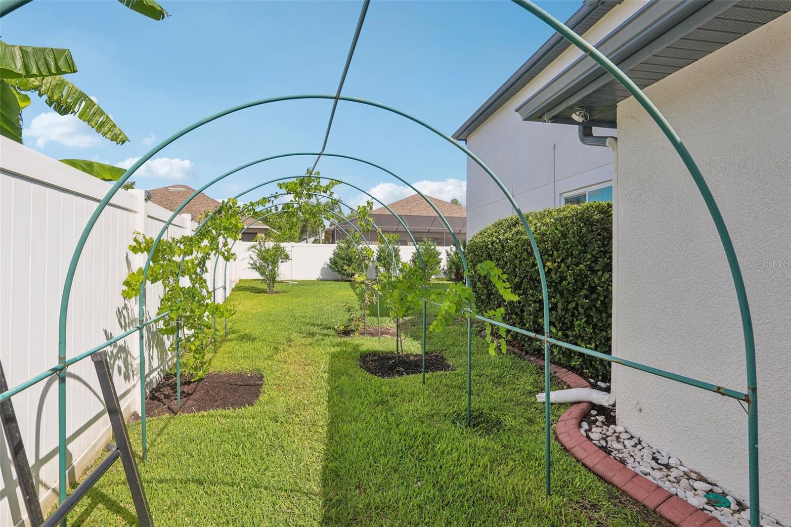 Fenced Backyard