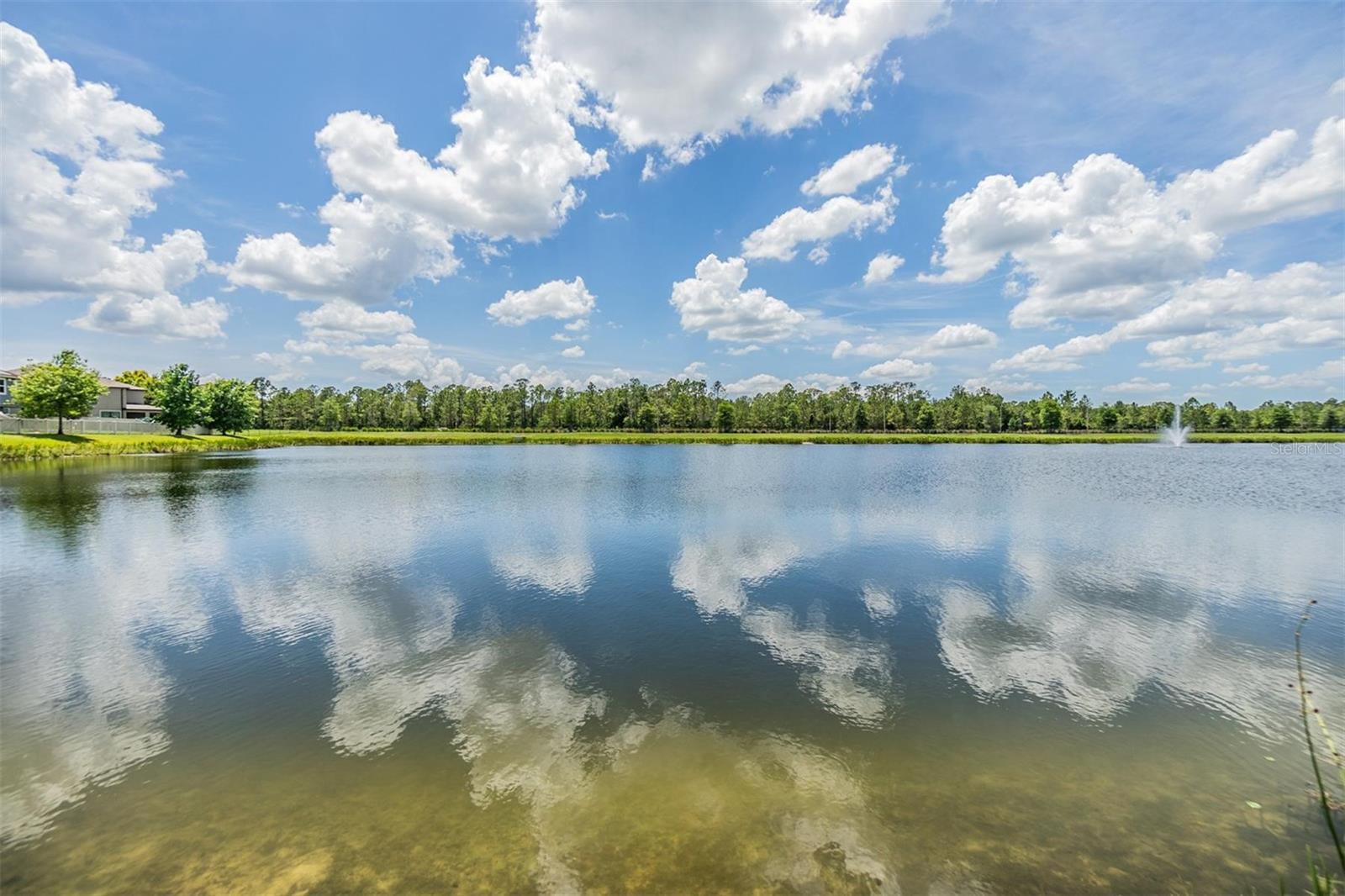 Water views