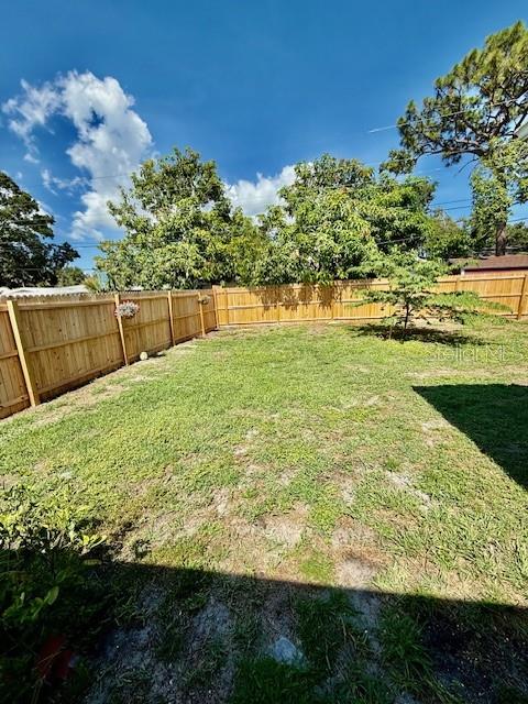 Back yard