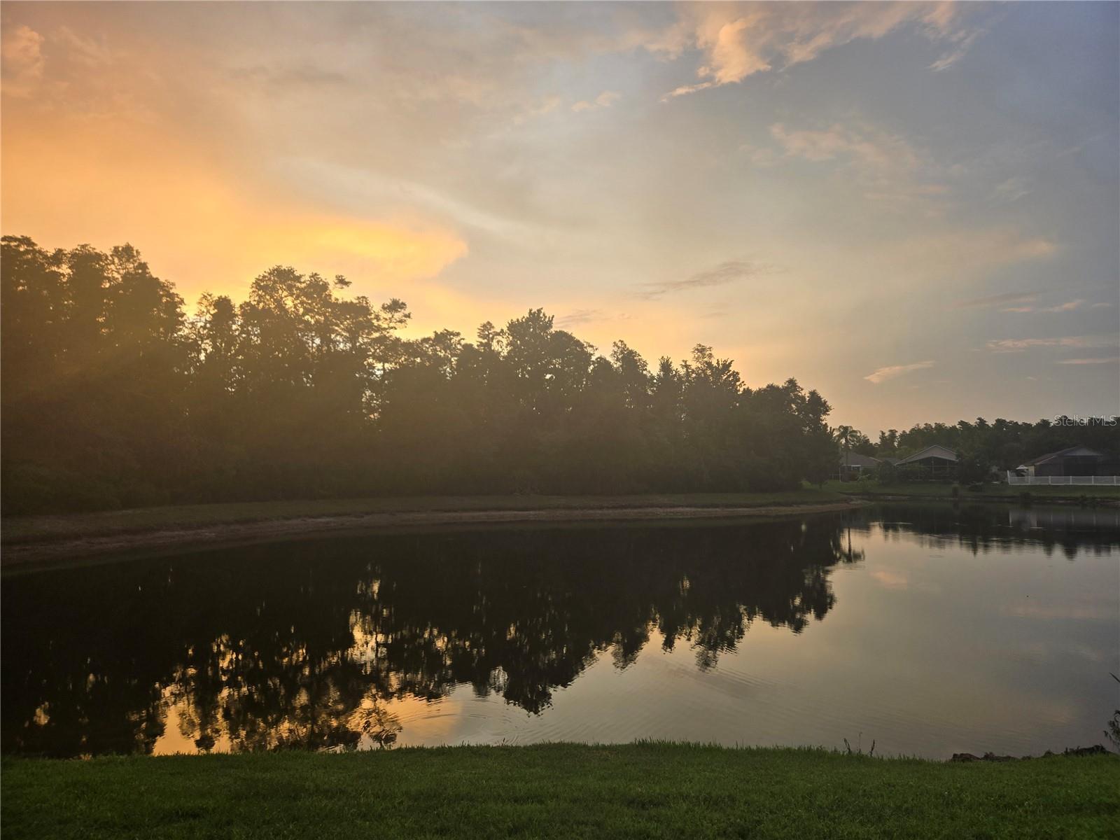 Pond view at night