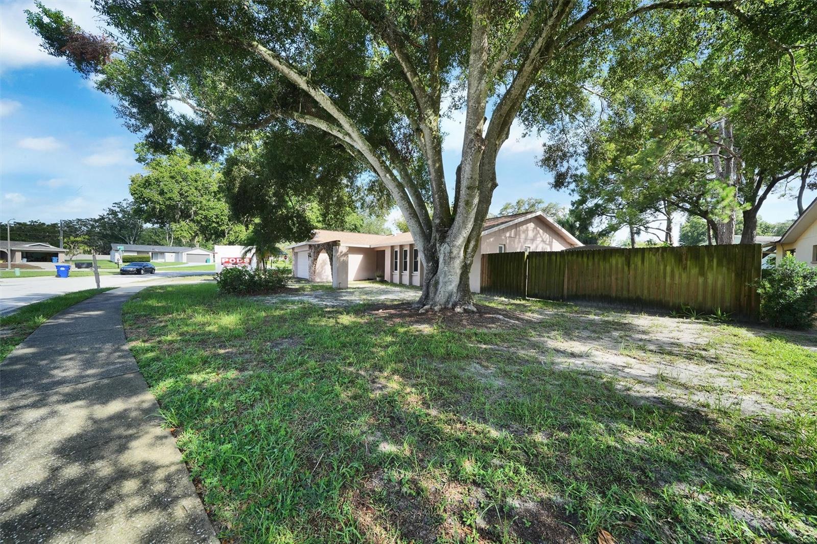 LARGE YARD