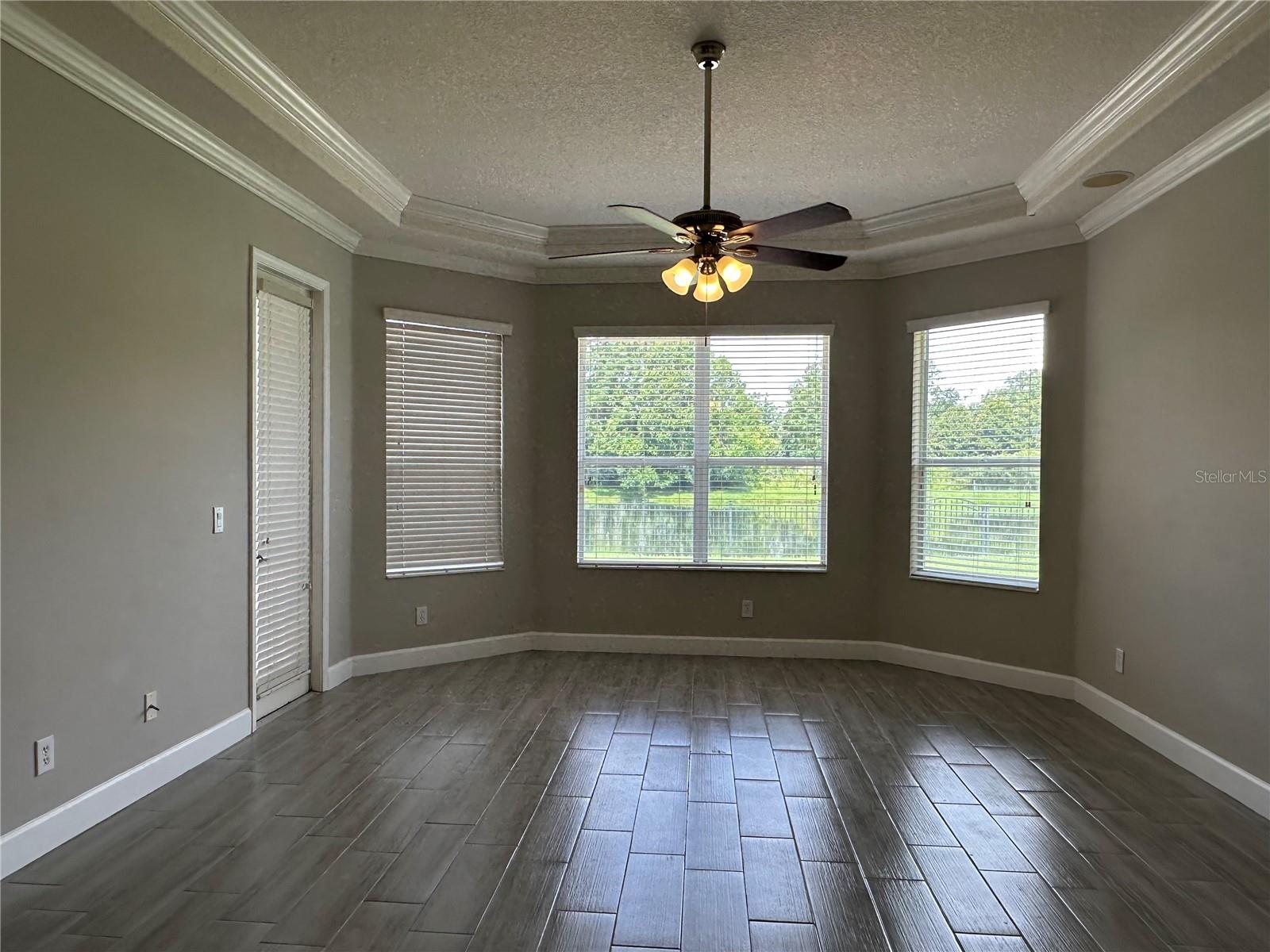 HUGE MASTER WITH CROWN MOLDING AND BAY-WINDOWS