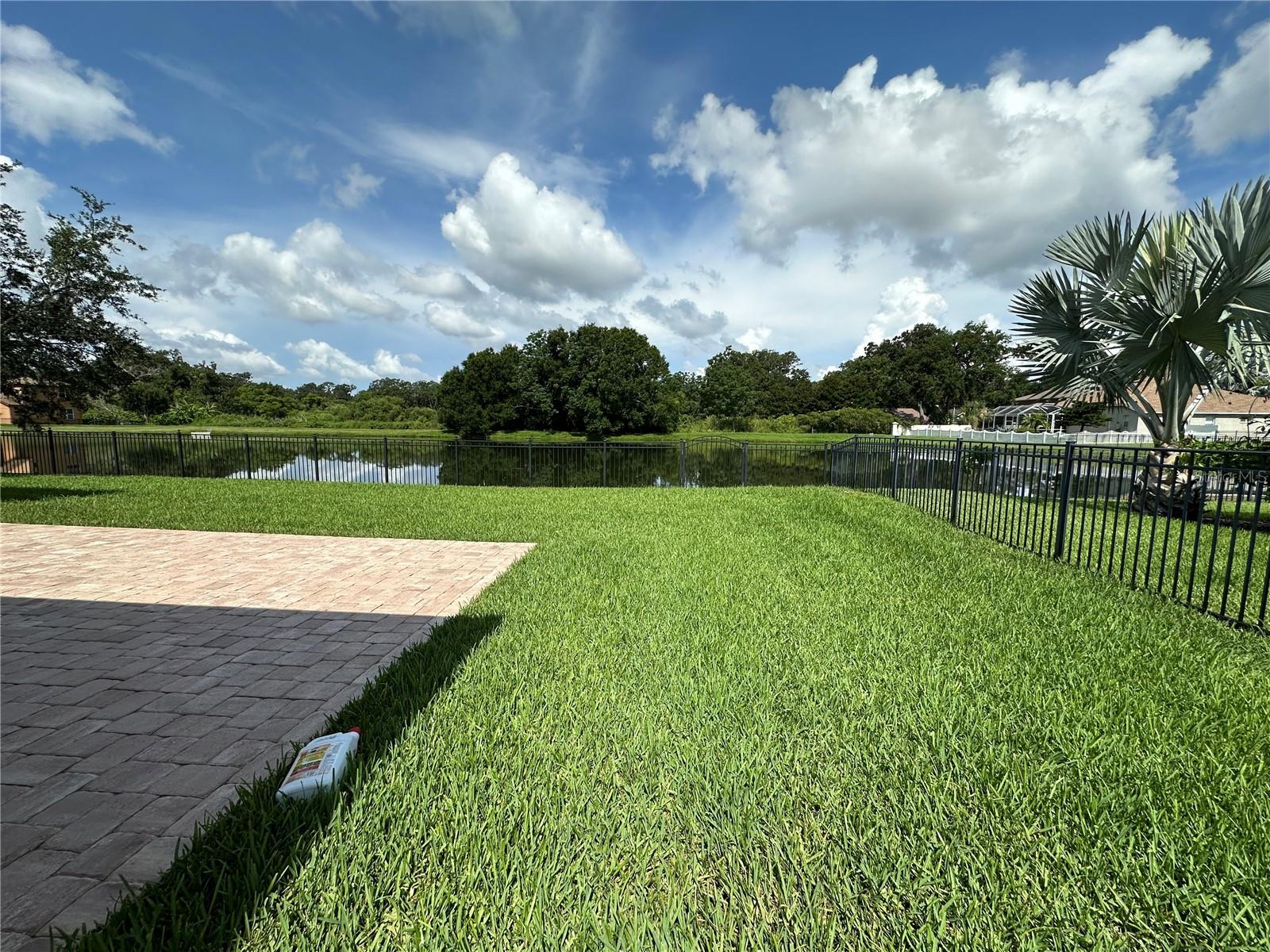 LARGE YARD