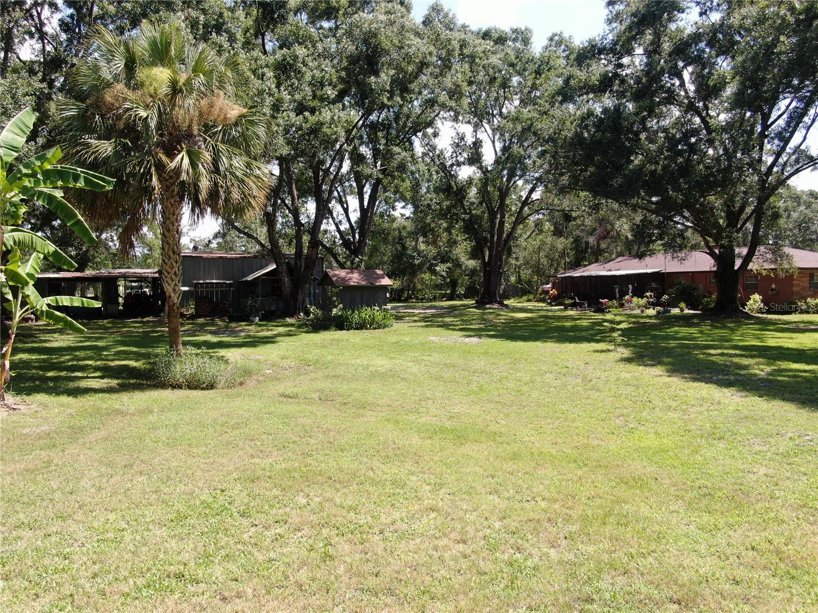 Main Home back yard