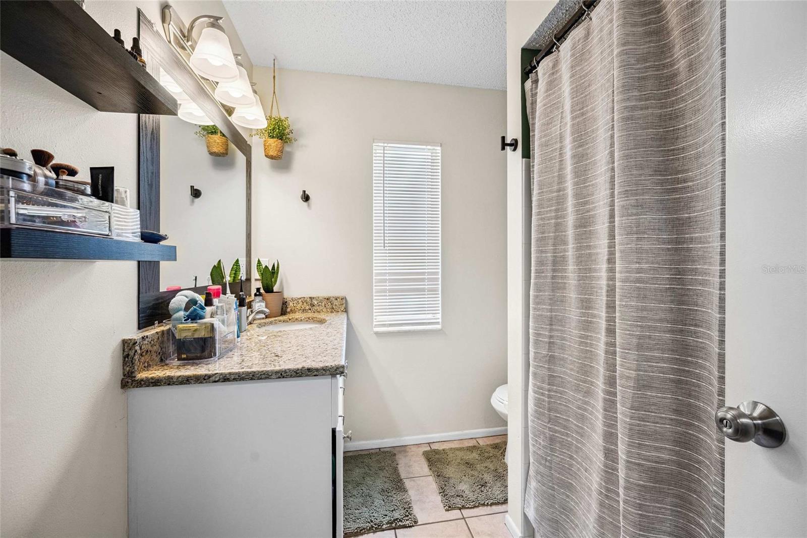 Bath #1 ~ Stone Counter ~