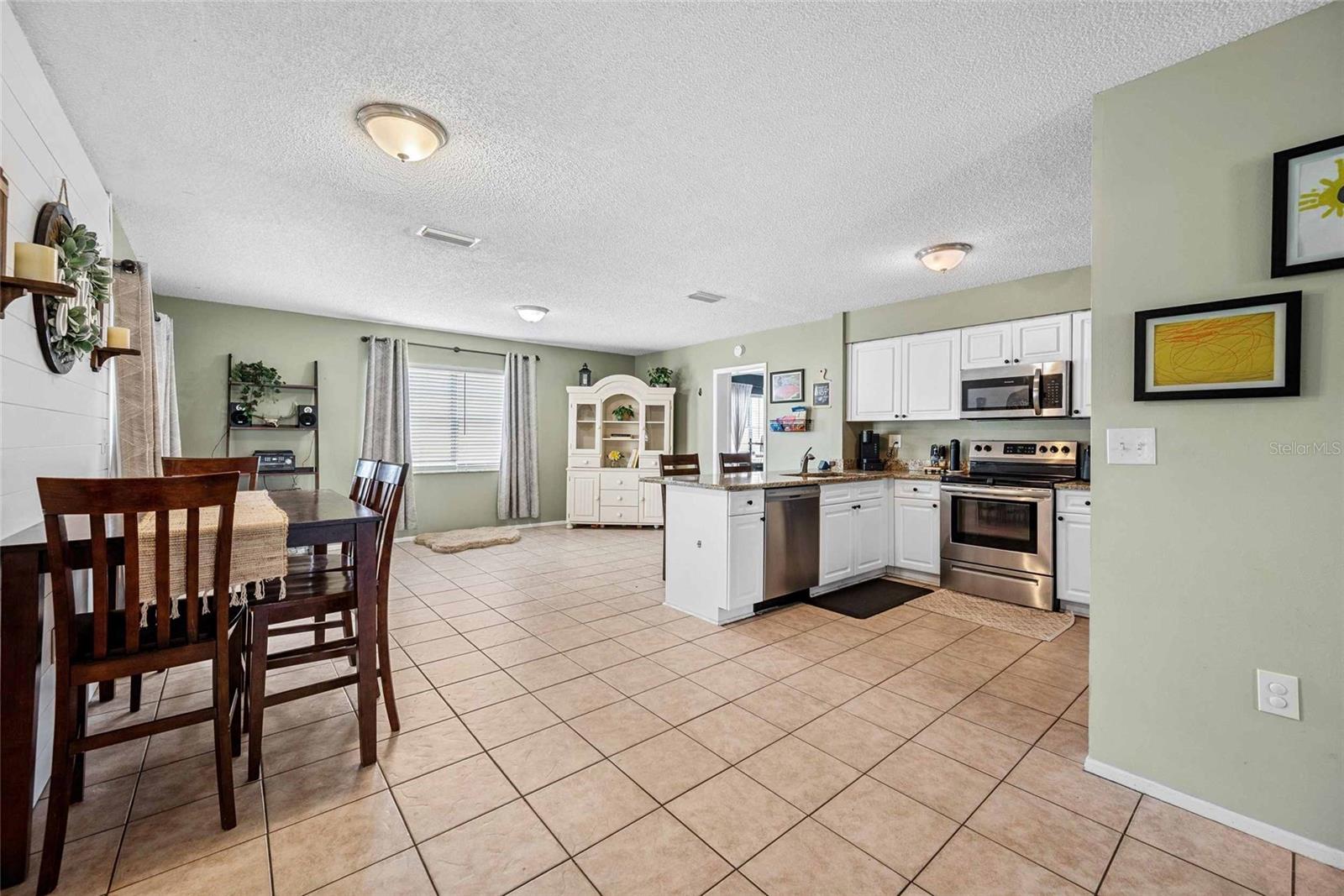 Open Concept ~ Kitchen / Dining Room / Family Room