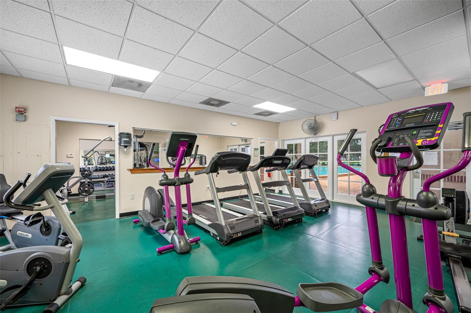 gym