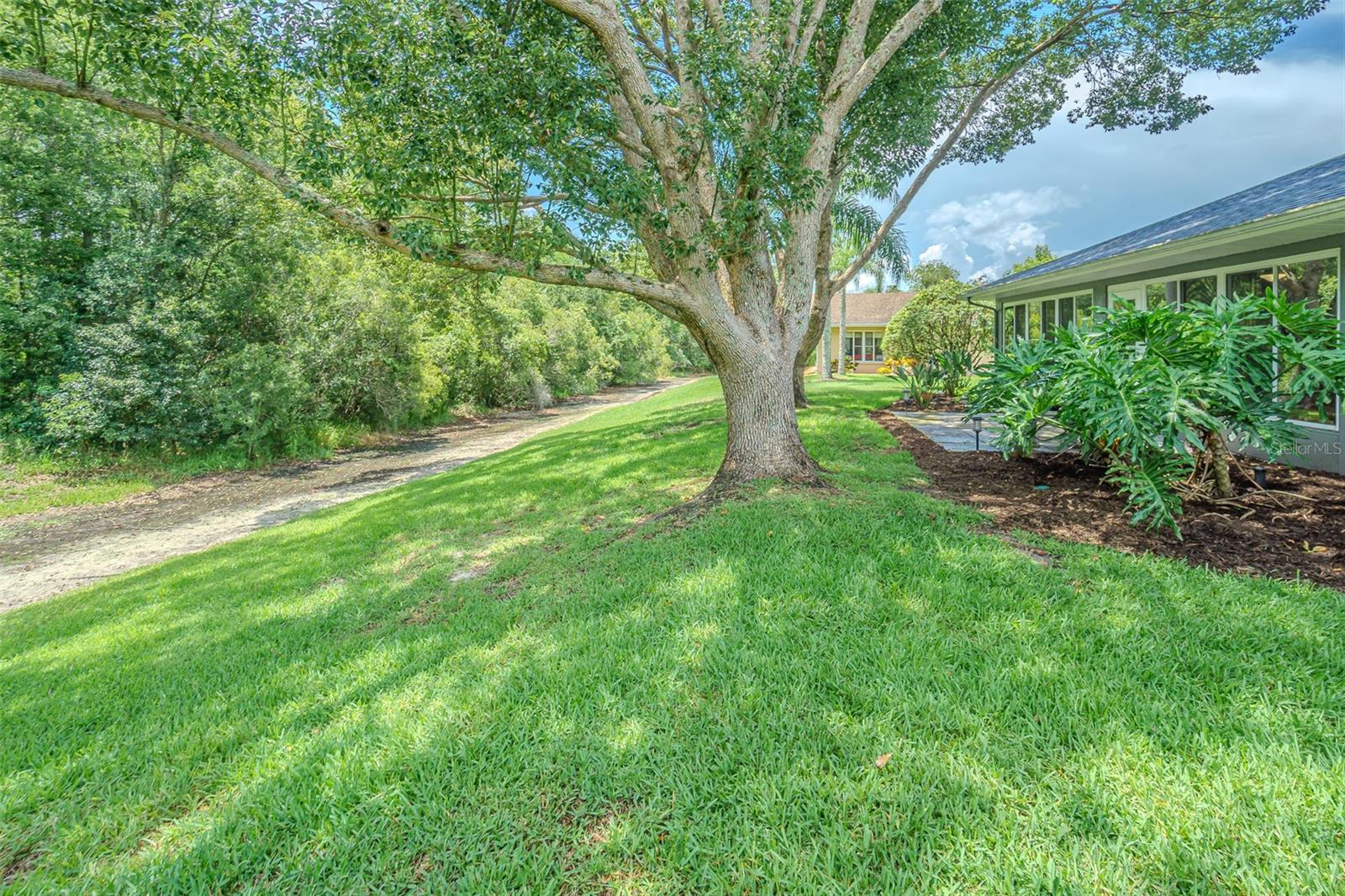 Gorgeous Backyard on Conservation Land.