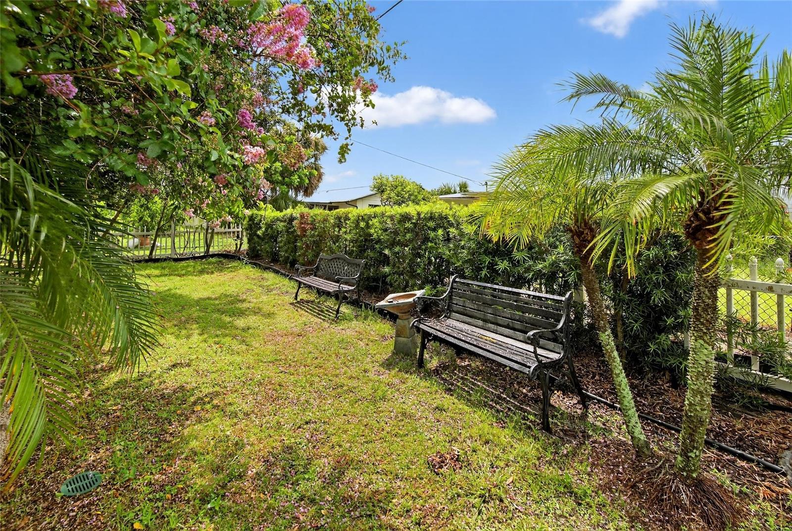 Back Yard