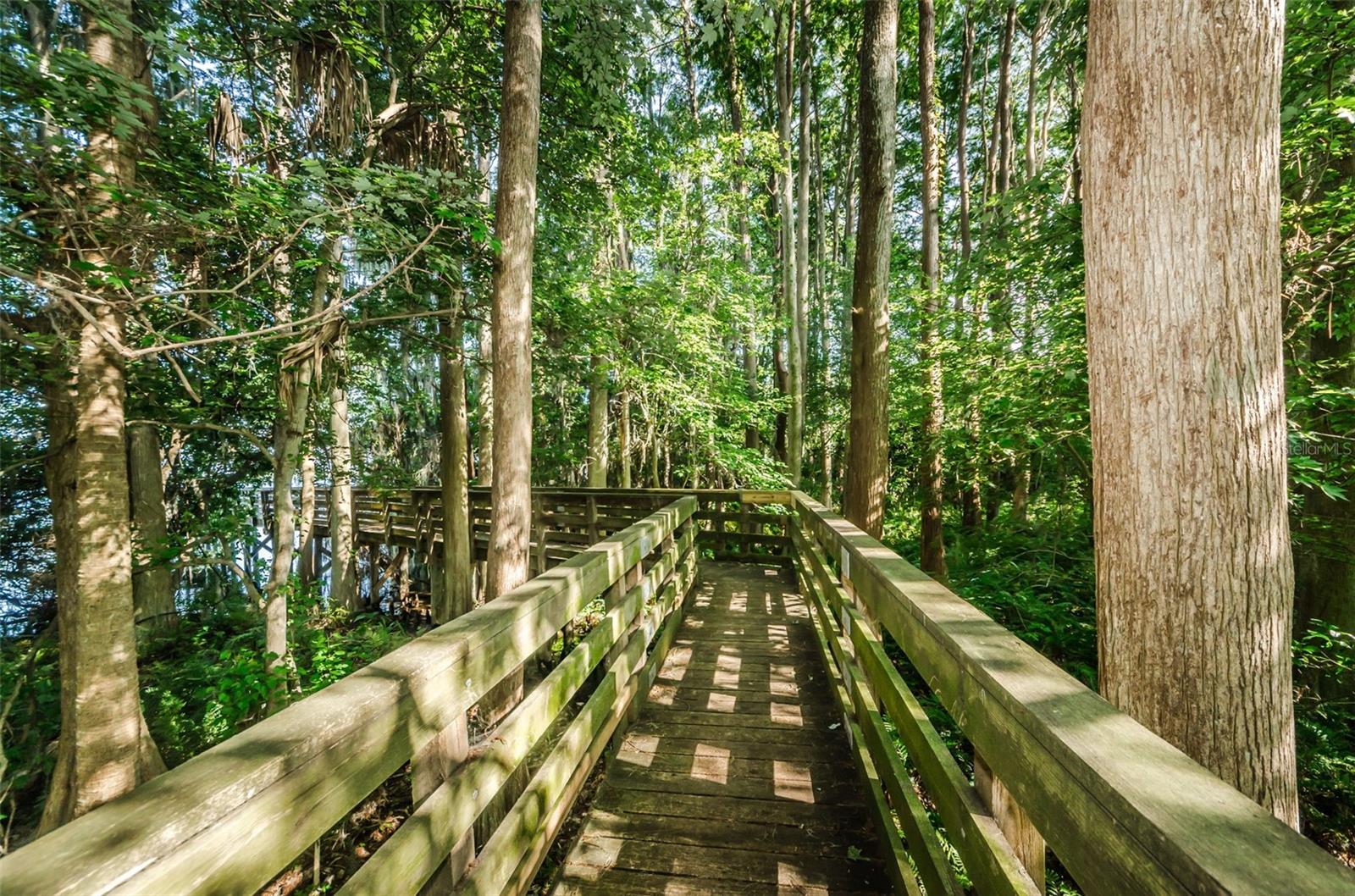 Boardwalk at Highland Nature Park
