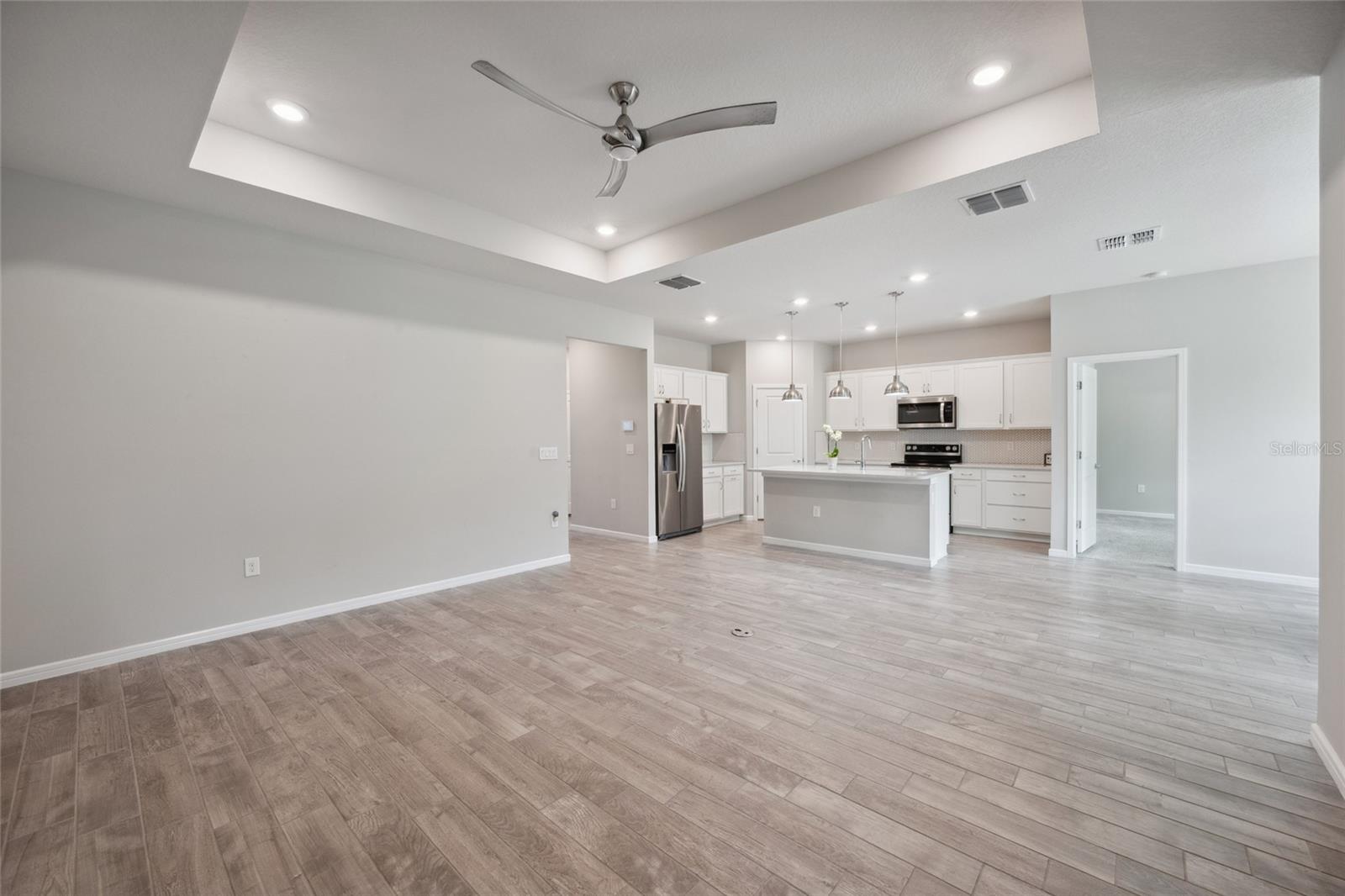 Living room/Kitchen
