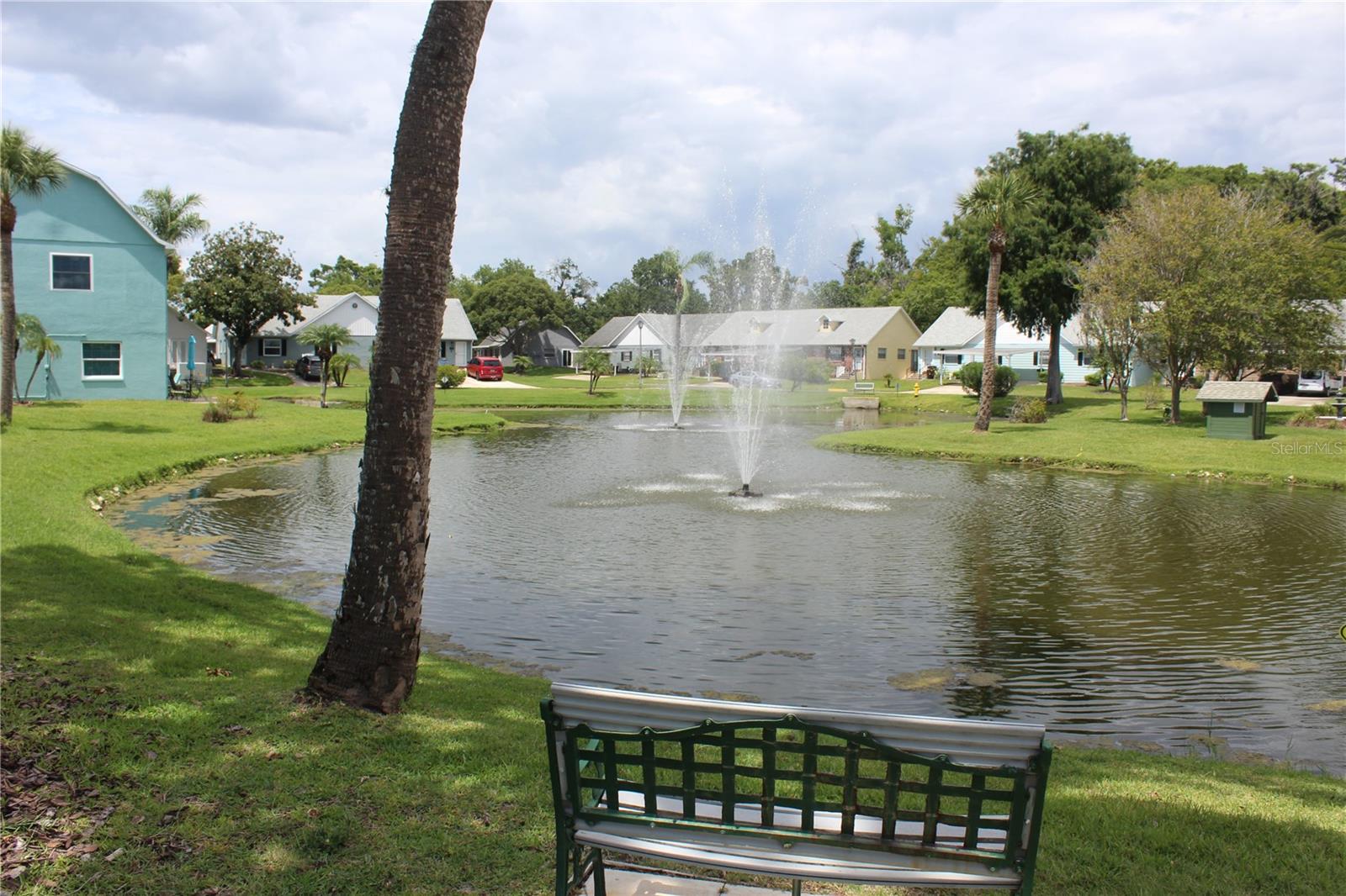 Community pond