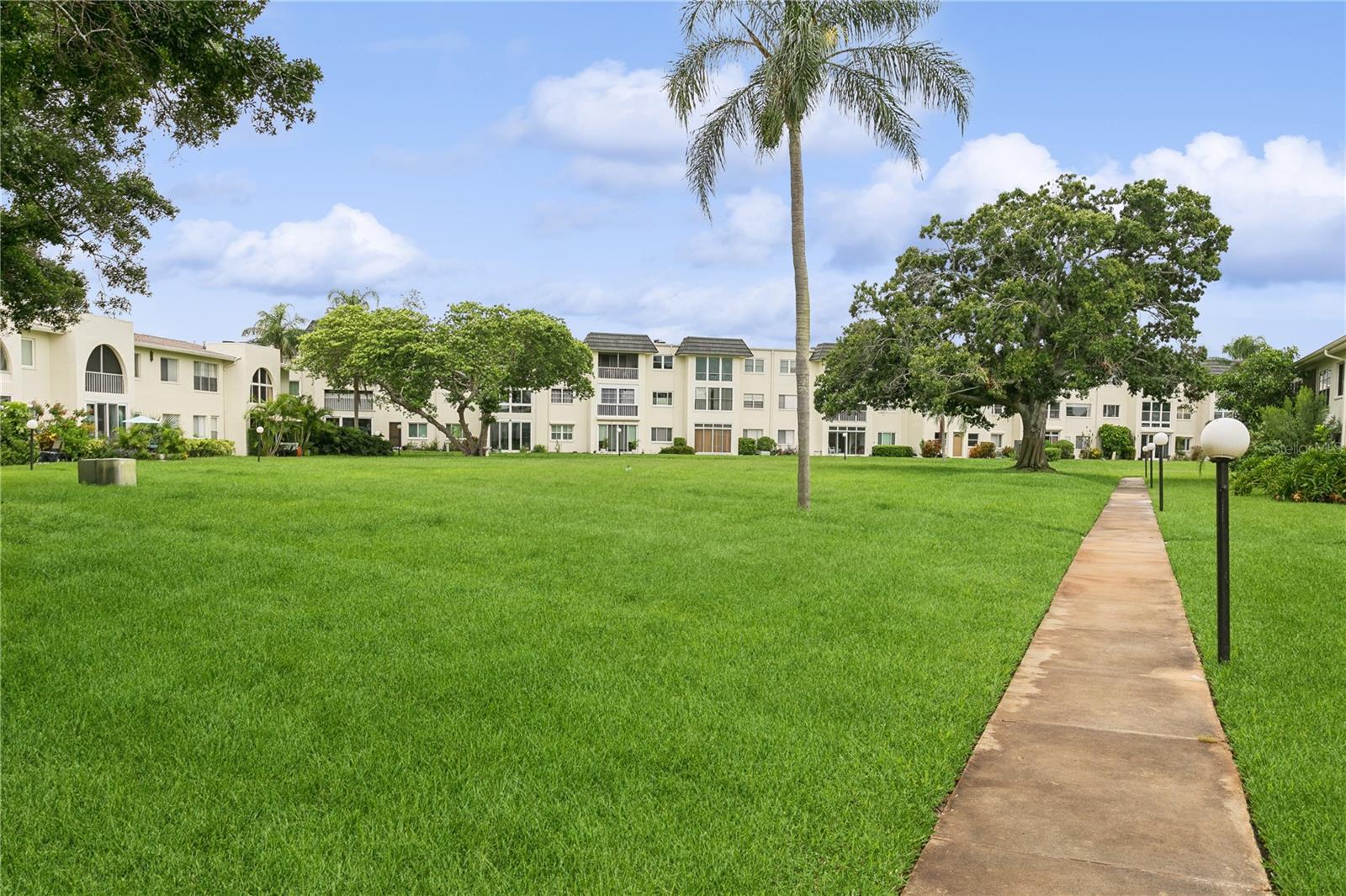 beautiful grassy common space behind the condo