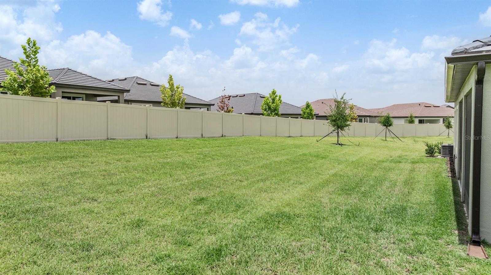 Big backyard!