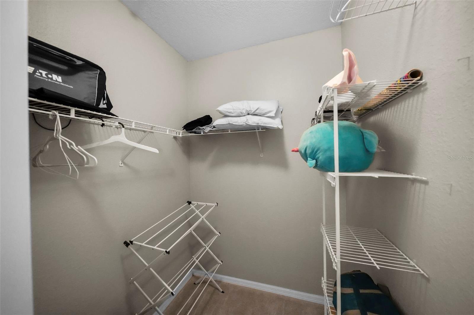 Spacious Walk-in Closet adjacent to secondary bedroom