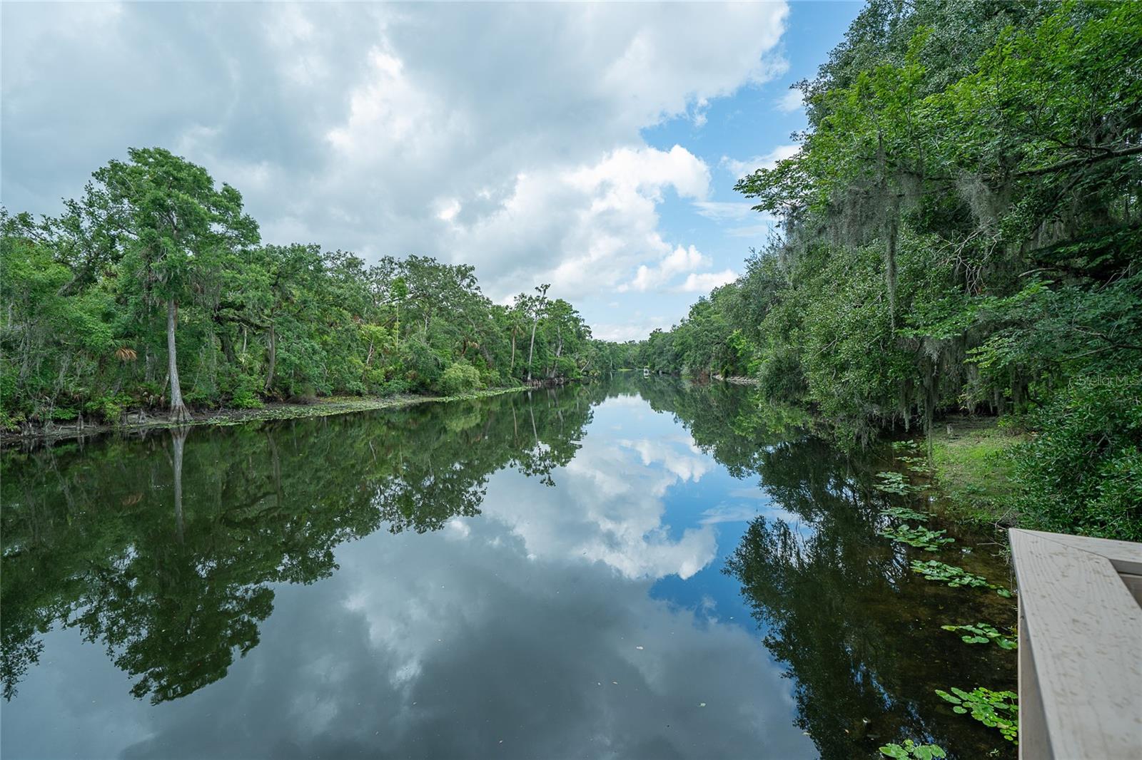 Hillsborough River