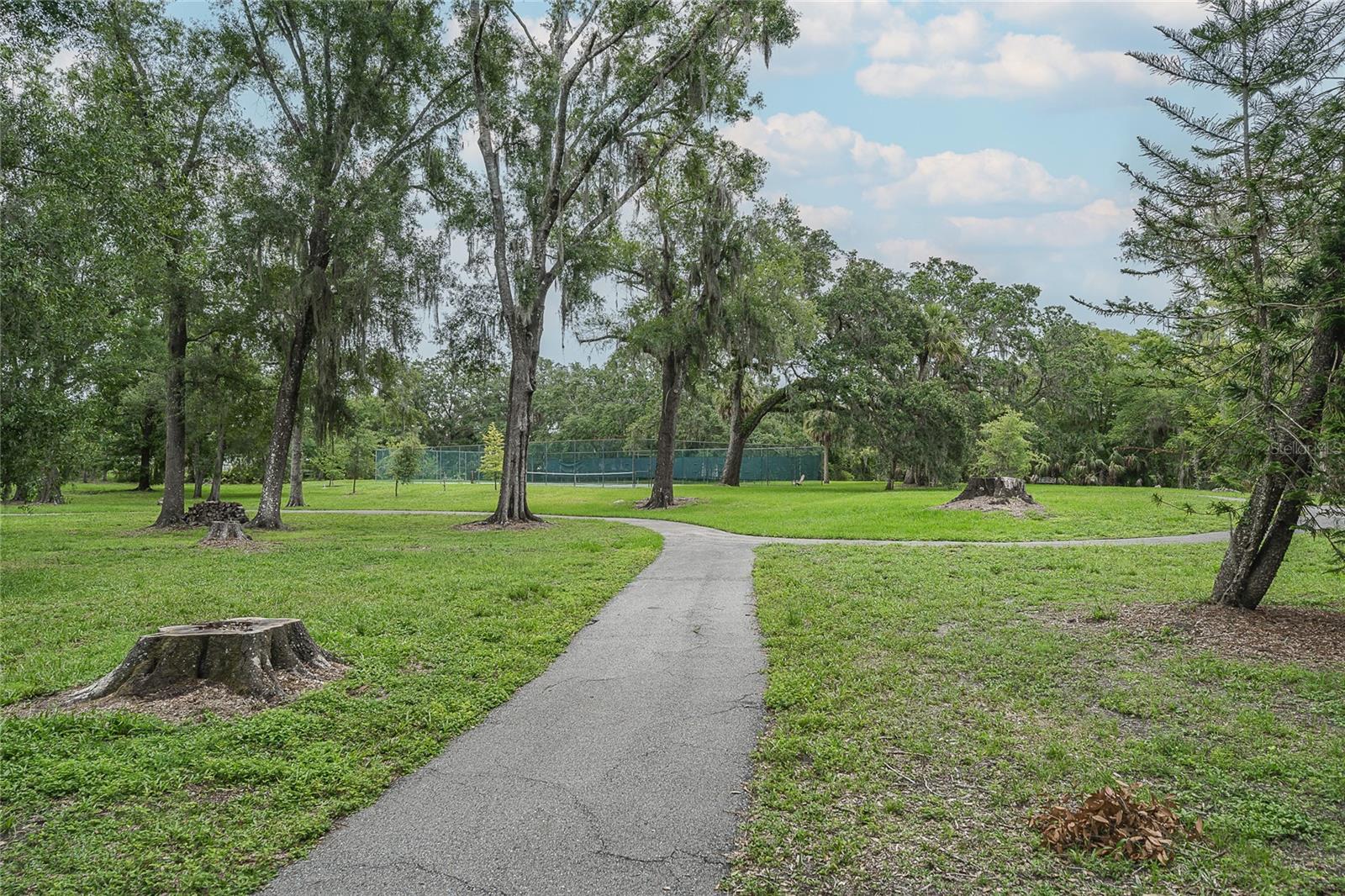 walking area in park