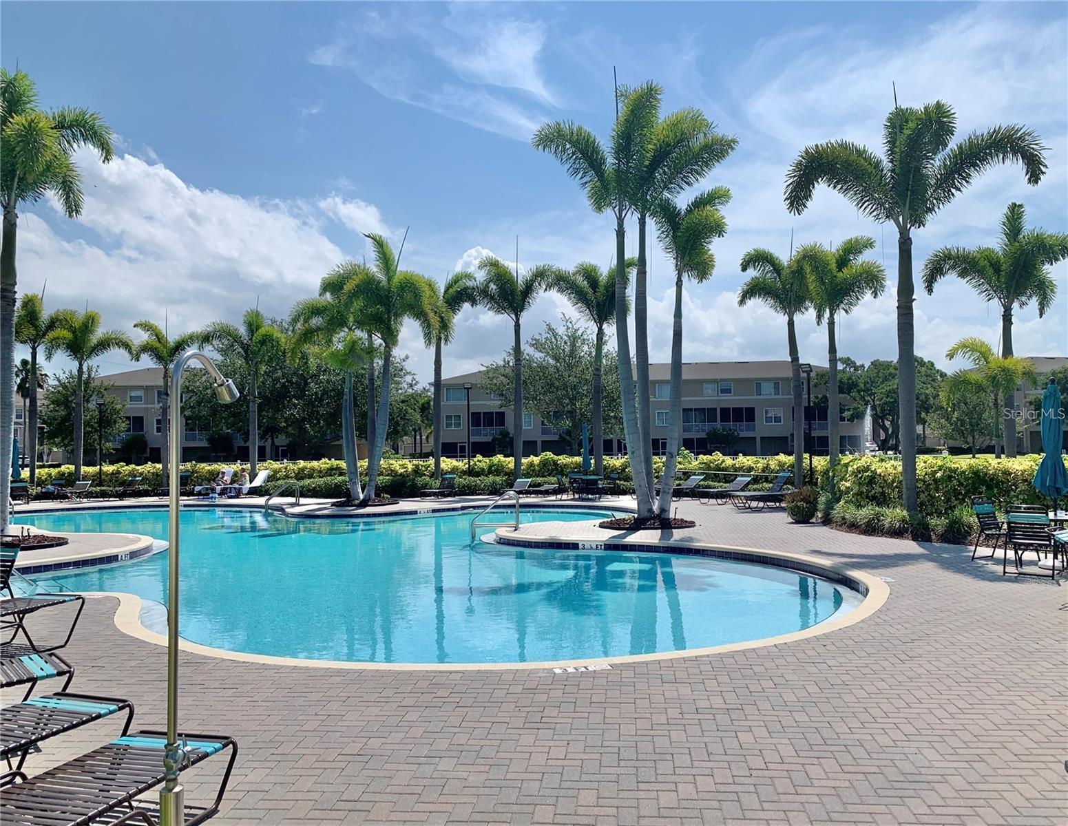 Gorgeous Community Pool
