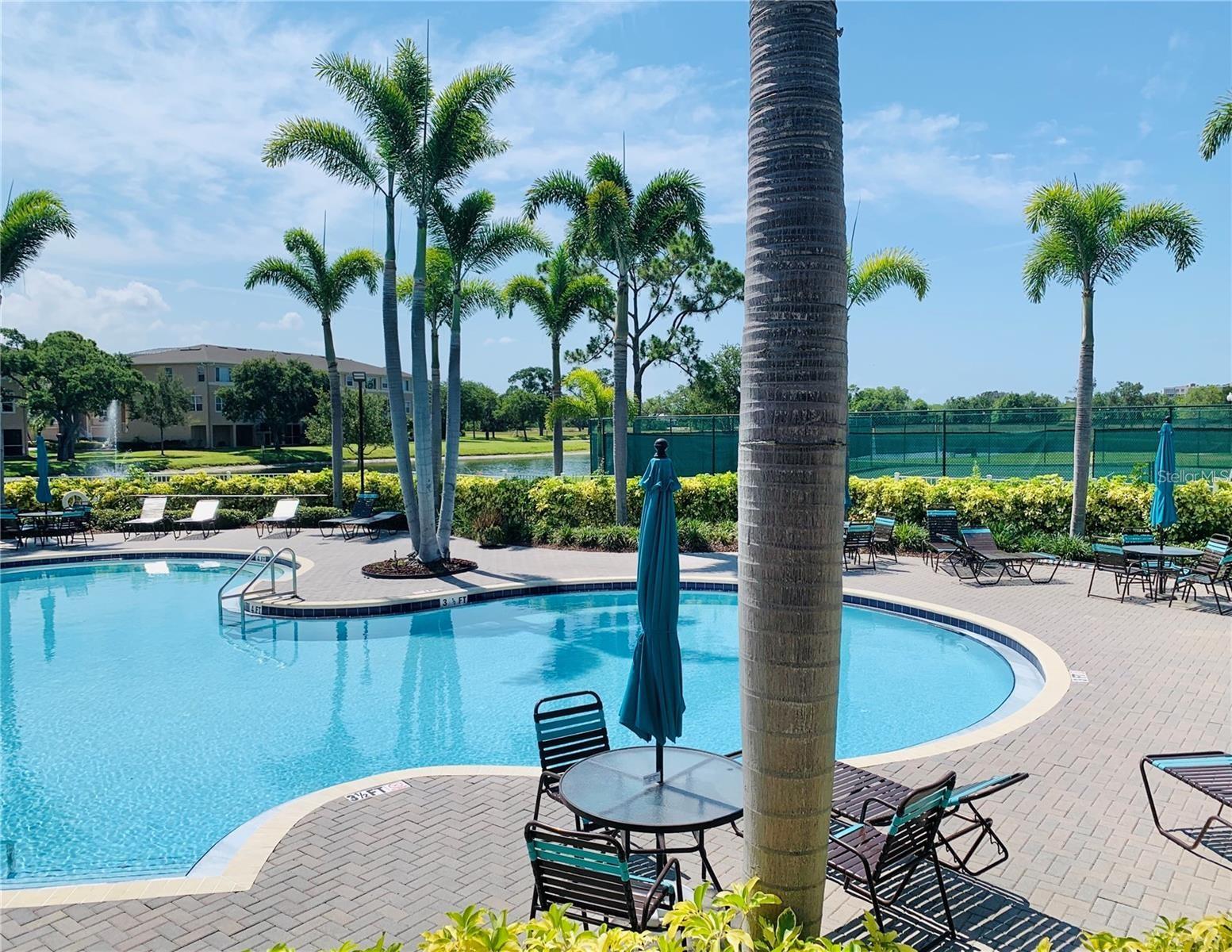 Gorgeous Community Pool