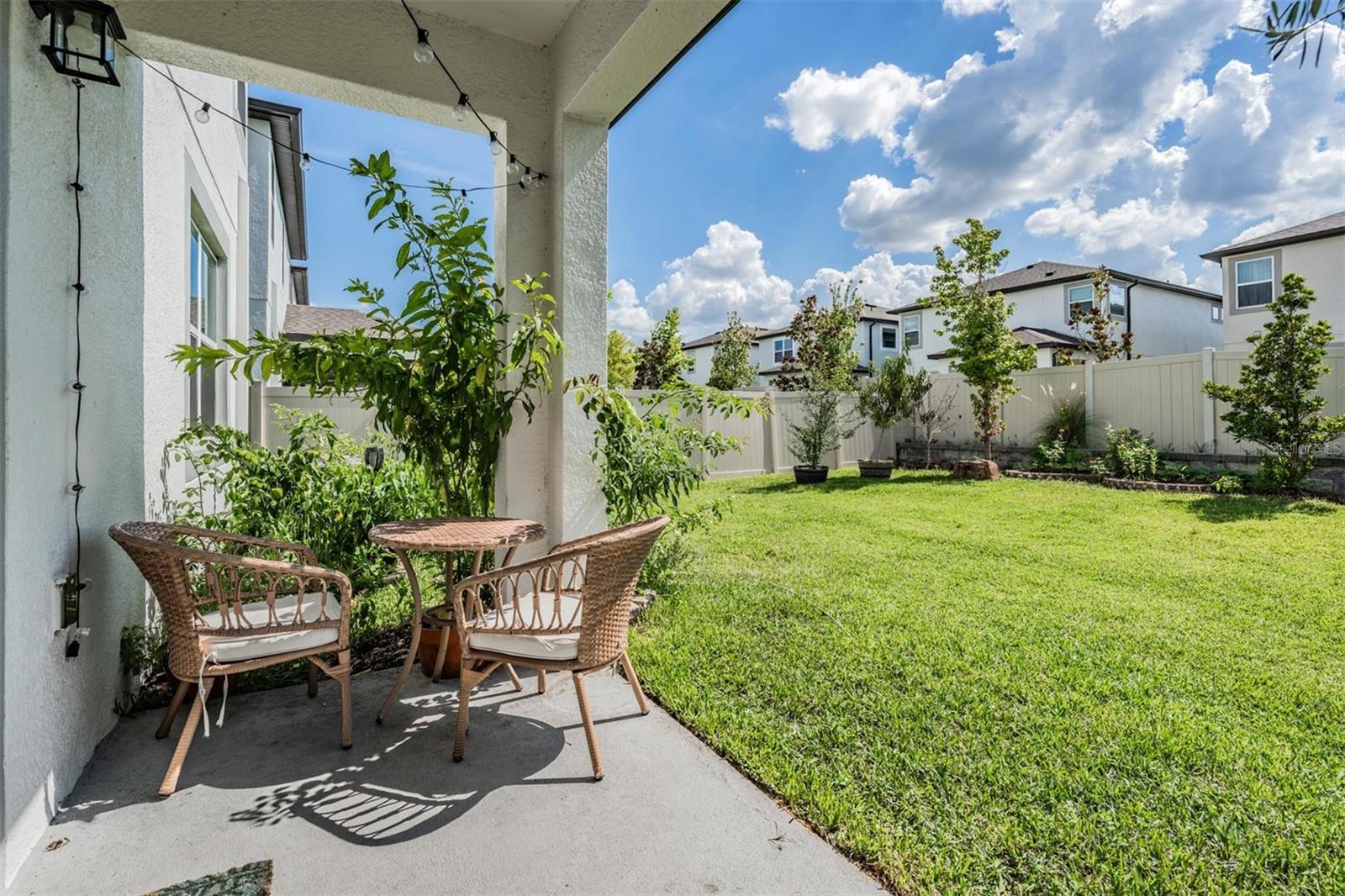 Backyard Patio
